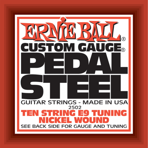 ERNIE BALL P02502